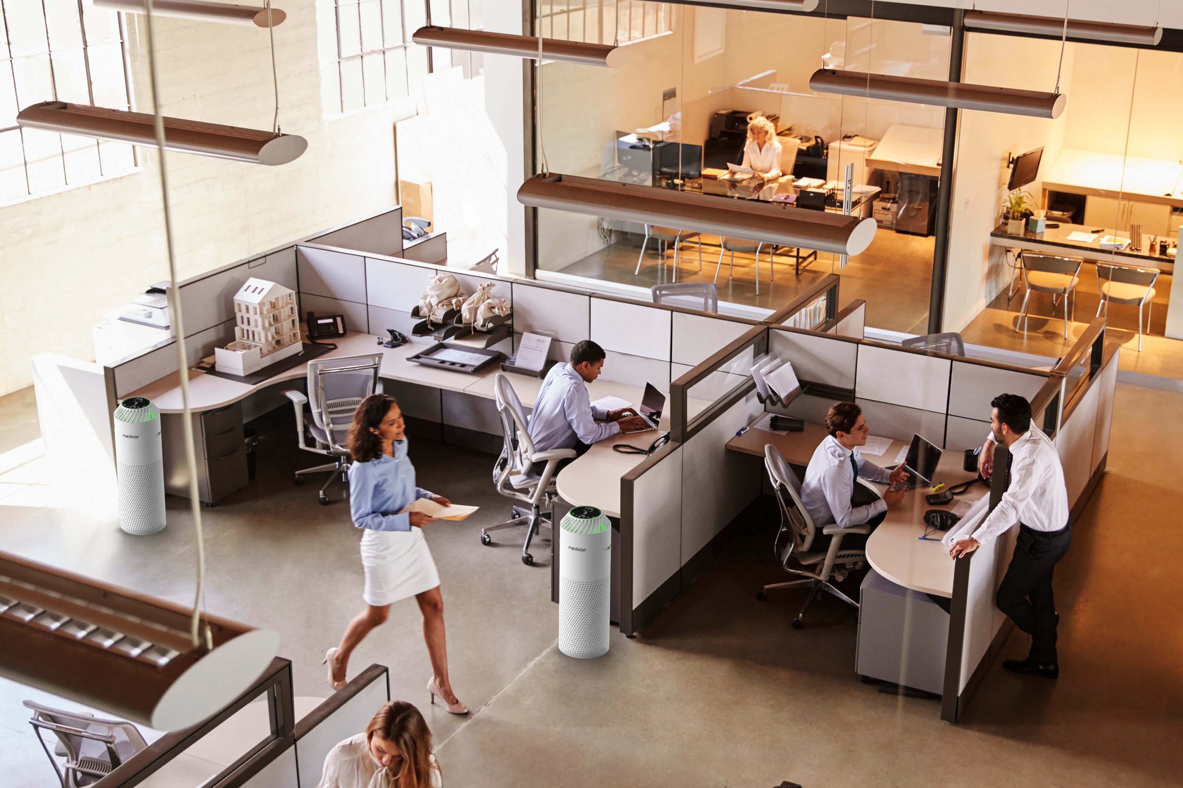 Charger la vidéo : 